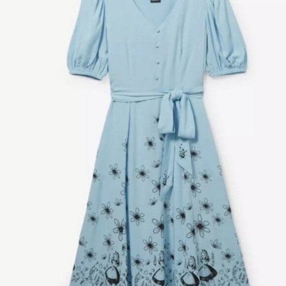 Alice in Wonderland Dress - Picture 1 of 1